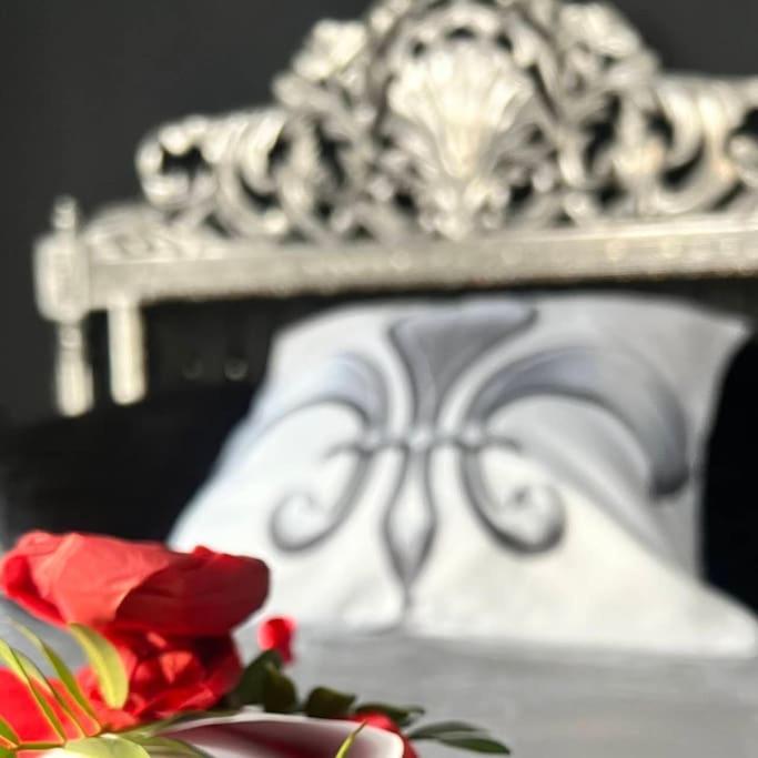 Nuit Romantique - Jacuzzi - Beziers - Romance Royale المظهر الخارجي الصورة